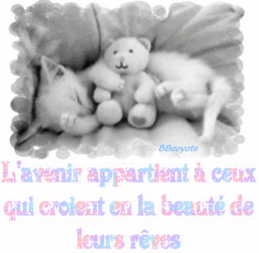 !! ℓ'ανєиιя !!